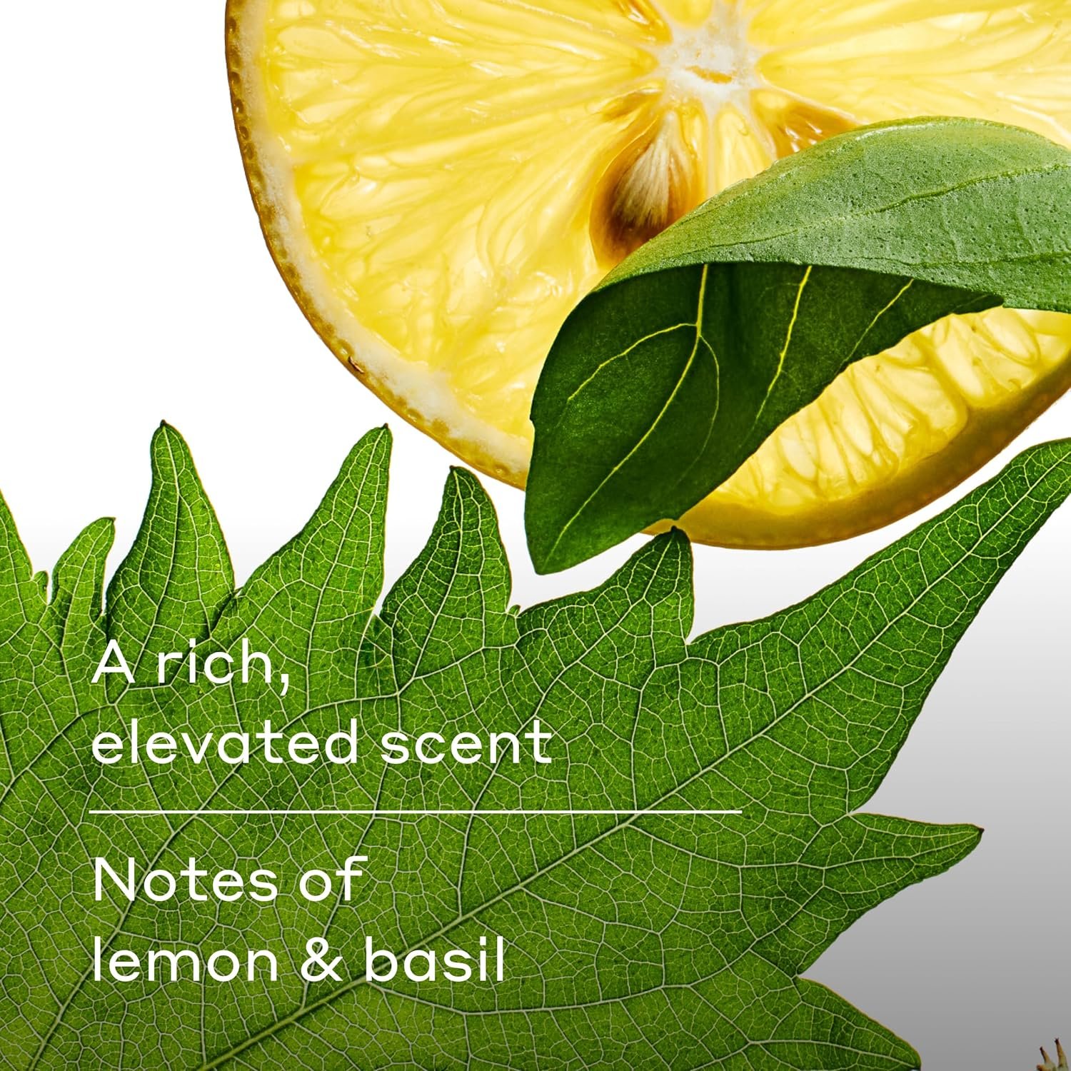 Harry's Men's Body Wash - Spring - (3 Pack) 18 fl oz - Shower Gel for Men - No Parabens, Sulfates, or Dyes - Image 7