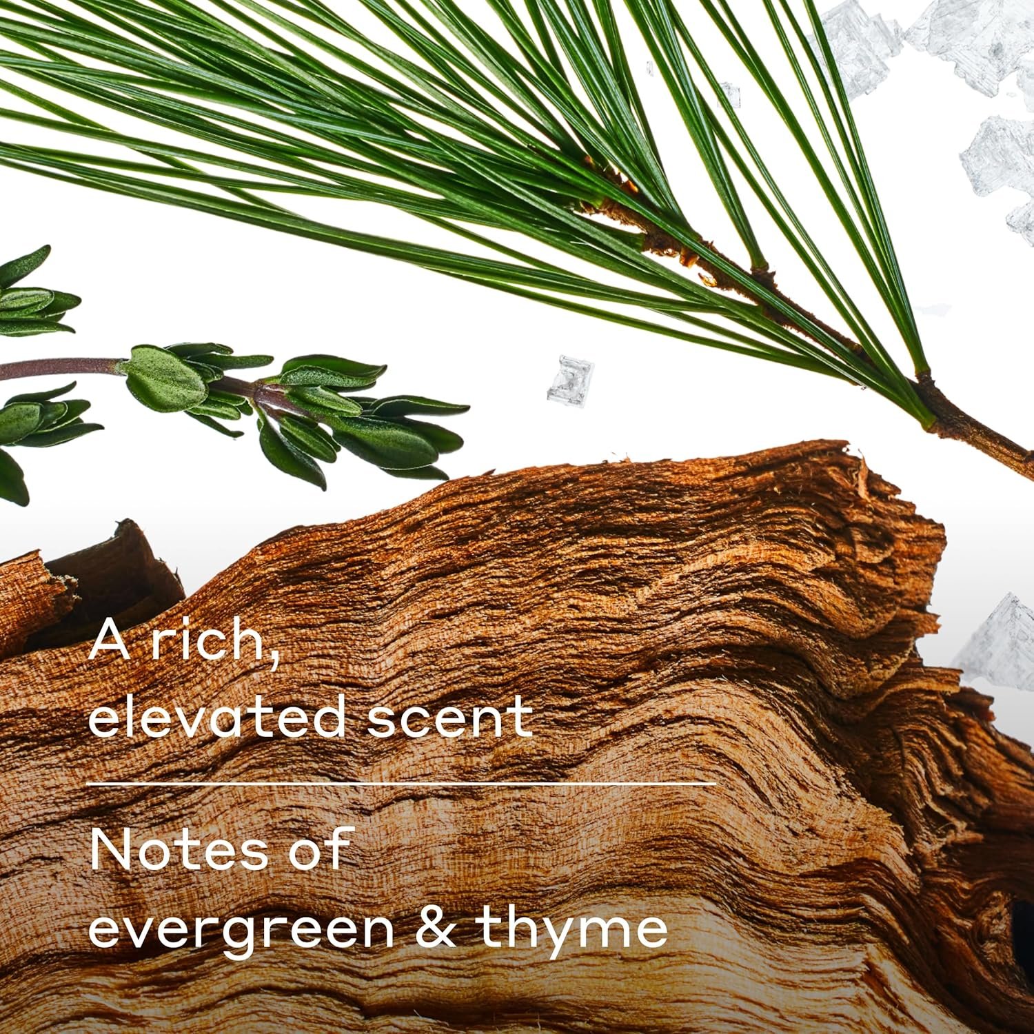 Harry's Men's Body Wash - Redwood - (3 Pack) 18 fl oz - Shower Gel for Men - No Parabens, Sulfates, or Dyes - Image 8