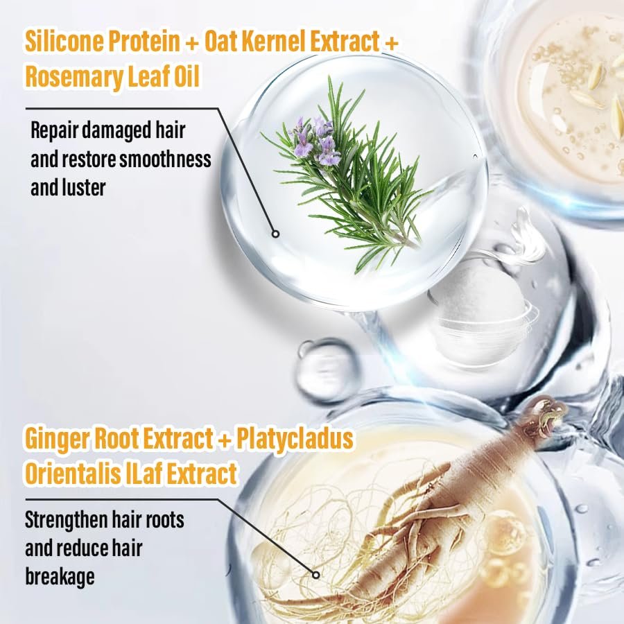 Ginger Shampoo for Dandruff Hair, Anti-Dandruff Treatment - Itchy Dry Scalp Care Shampoo Ginger Extract Oil Strengthen Hair Formula, for Men and Women 16.91oz - Image 7