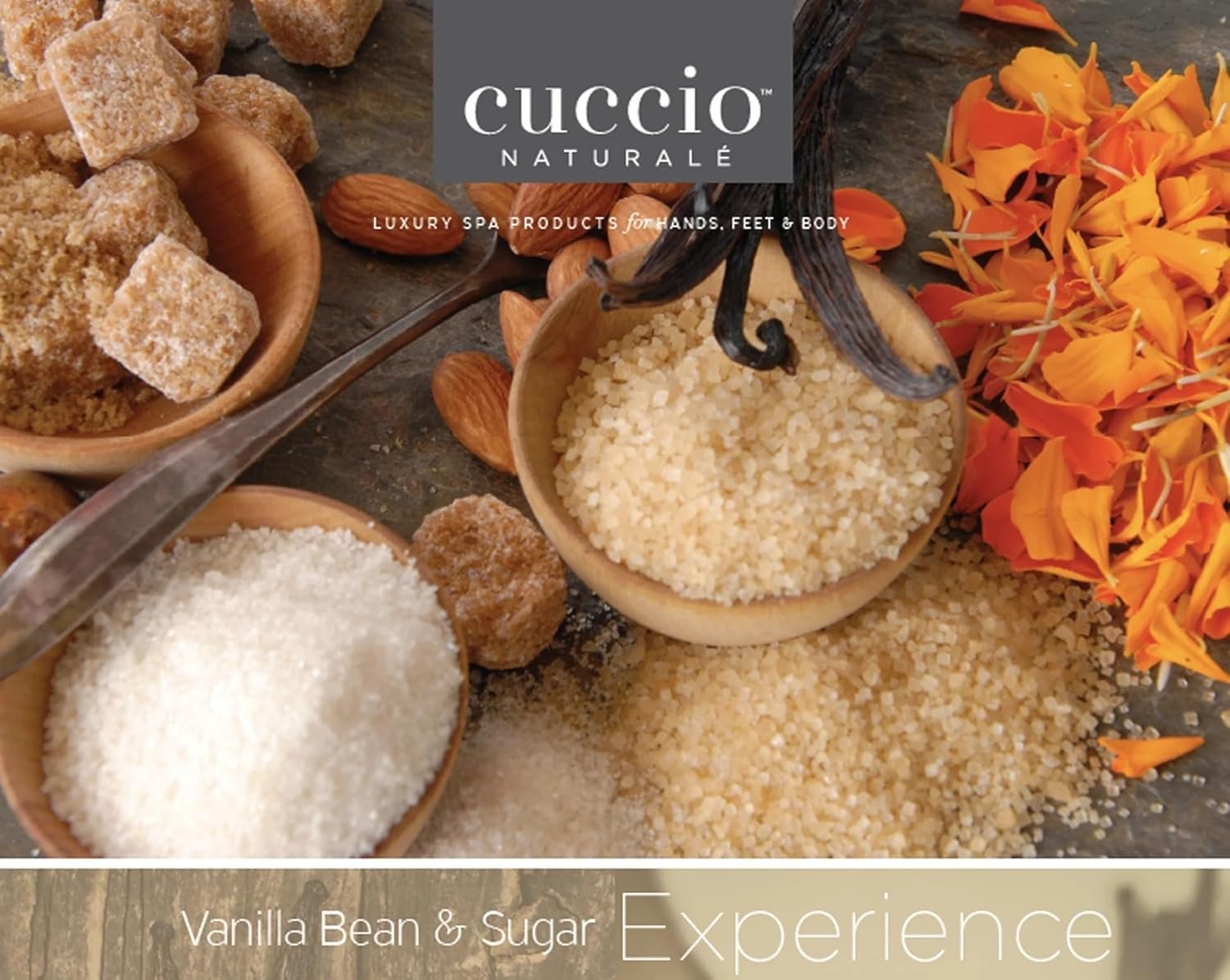 Cuccio Naturalé Butter Blend Vanilla Bean & Sugar - Non-Greasy Lotion for Hand, Body & Feet - Comforting/De-stressing - Paraben/Cruelty Free, Natural Ingredients & Plant Based Preservatives, White, 8 Fl Oz (Pack of 1) - Image 3