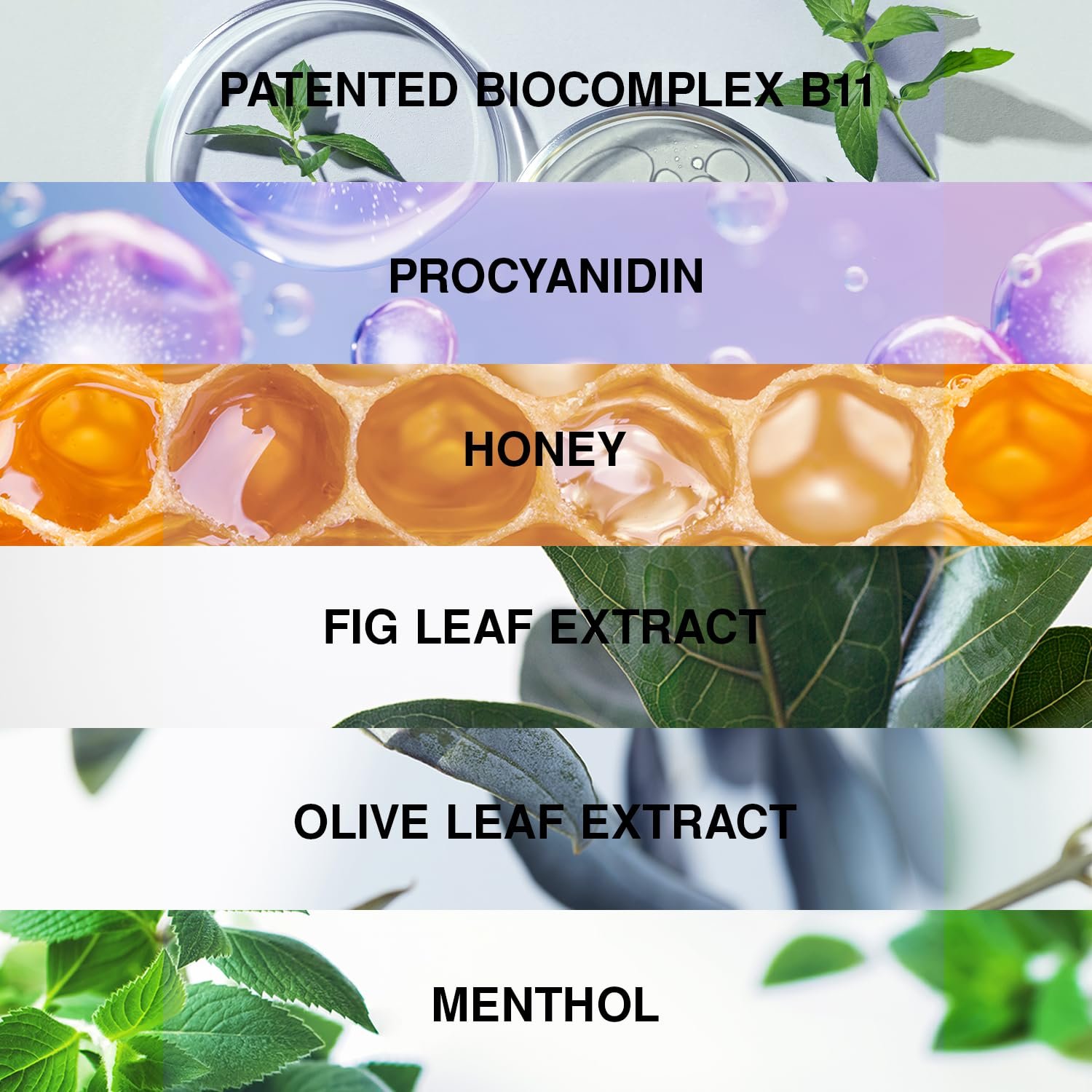 Herbal Shampoo for Hair Loss Strengthening & Nourishing Formula Anti-Dandruff Scalp Revitalizing Care Deep Moisturizing & Repairing Natural Botanical Extracts for Healthy, Thicker Hair - Image 6