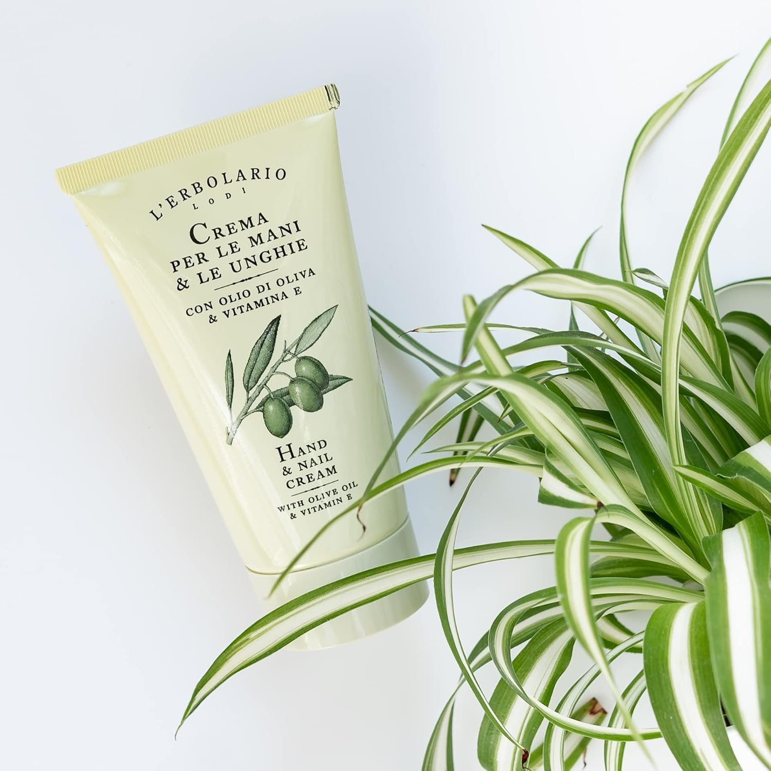 L'Erbolario Hand and Nail Cream - Moisturizing Hand Lotion for Women and Men with Shea Butter - Hand Cream for Dry Hands and Fragile Nails - 2.5 oz - Image 4