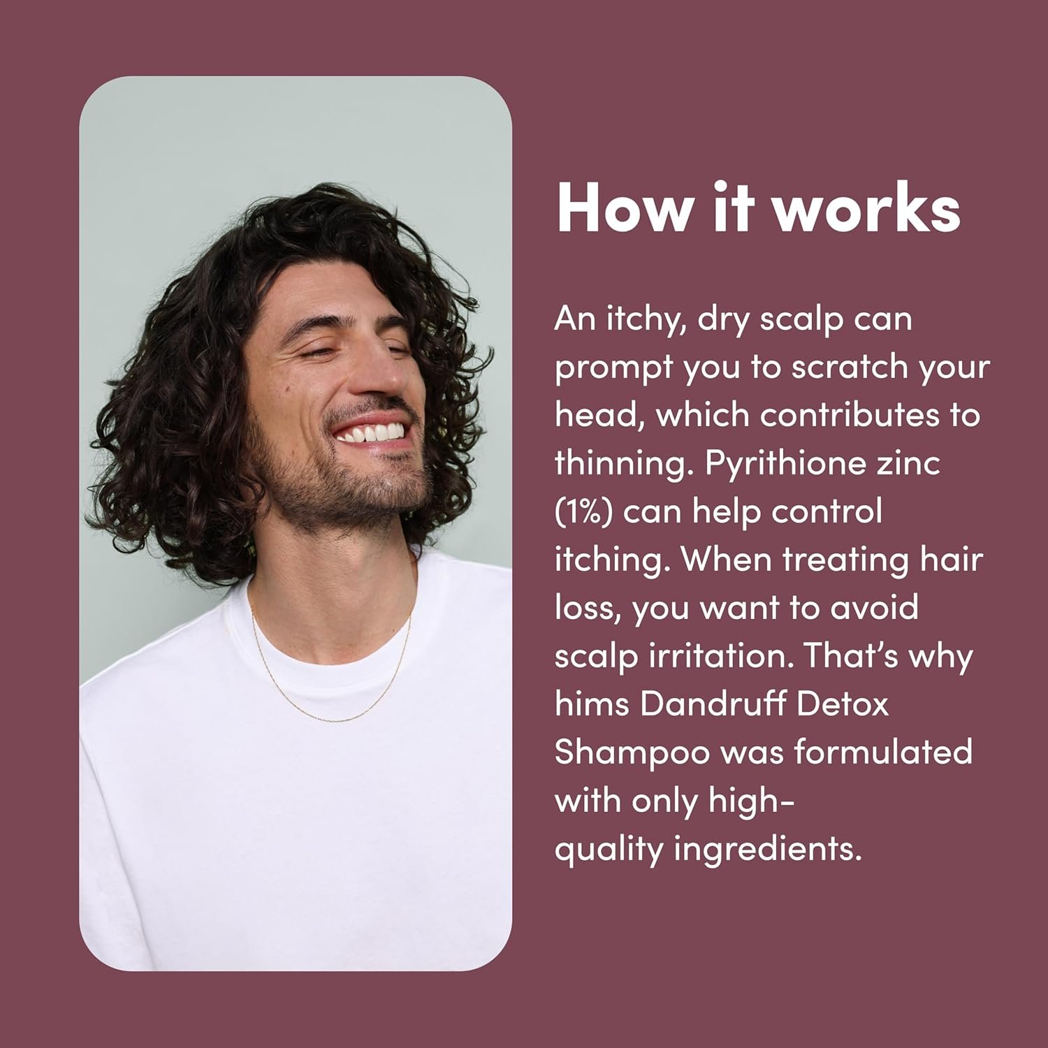 hims Dandruff Detox Anti Dandruff Shampoo, 2 Pack - Anti Dandruff Shampoo for Dry, Itchy Scalp with Pyrithione Zinc 1% and Argan Oil - Paraben Free, Sulfate Free - Evergreen Mint - 2 x 6.4 fl oz - Image 4