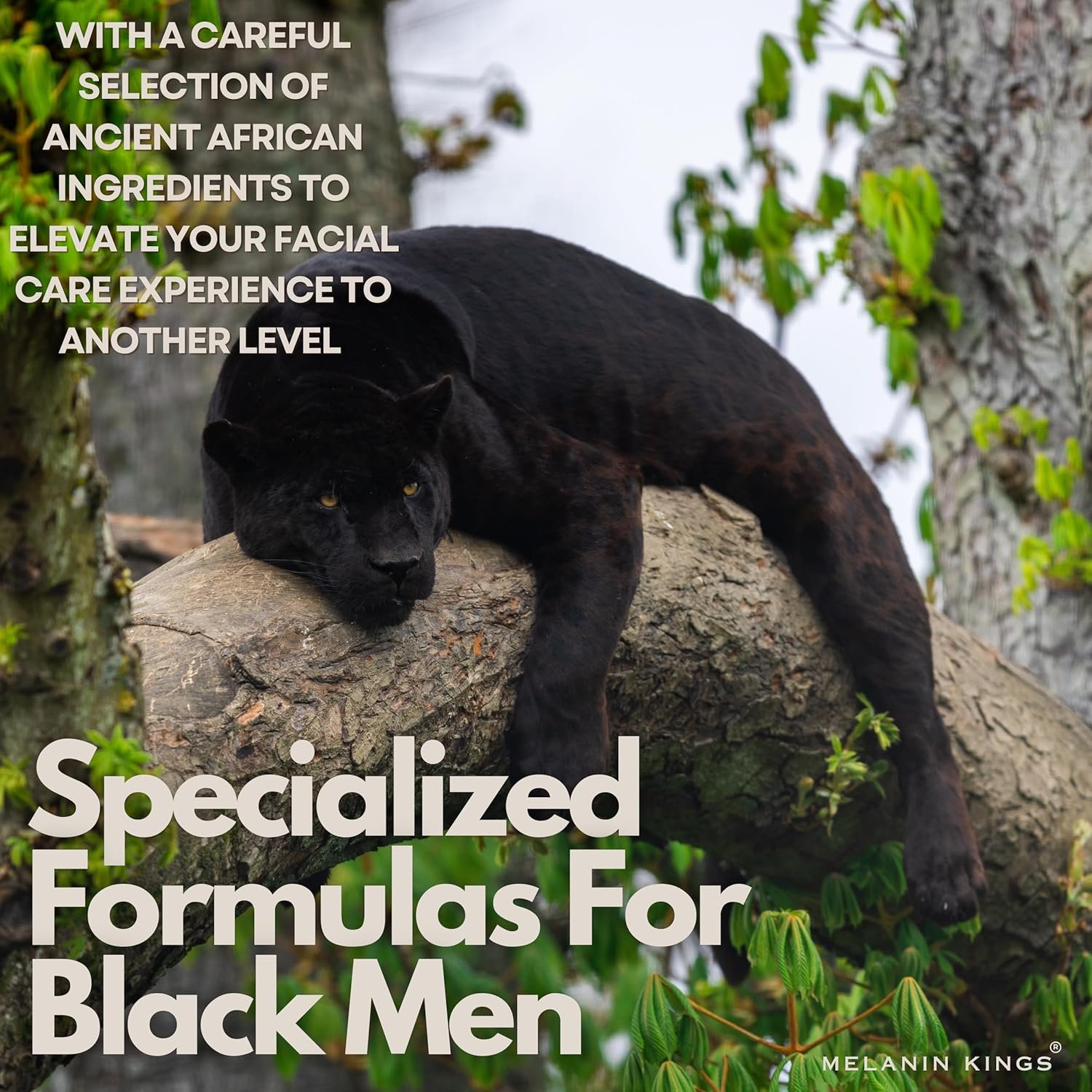 Melanin Kings Beard Grooming Kit for Men - Formulas With Ancient African Natural Ingredients | Beard Wash, Oil, Balm, Brush, Comb, Trimming Scissors - Image 3