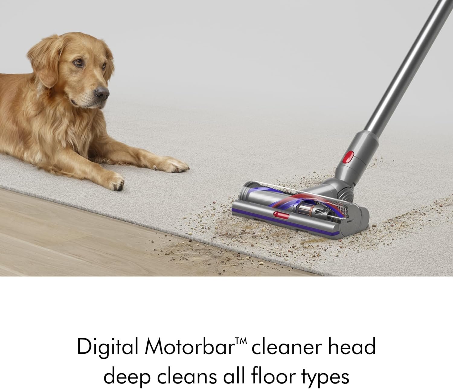 Dyson V15 Detect Plus Cordless Vacuum, Illumination Reveals dust, 240AW, 3 Power Modes, Up to 60 Minutes,² Deep Cleans Hard Floors and Carpets, Detangles pet Hair, Converts to Handheld - Image 8