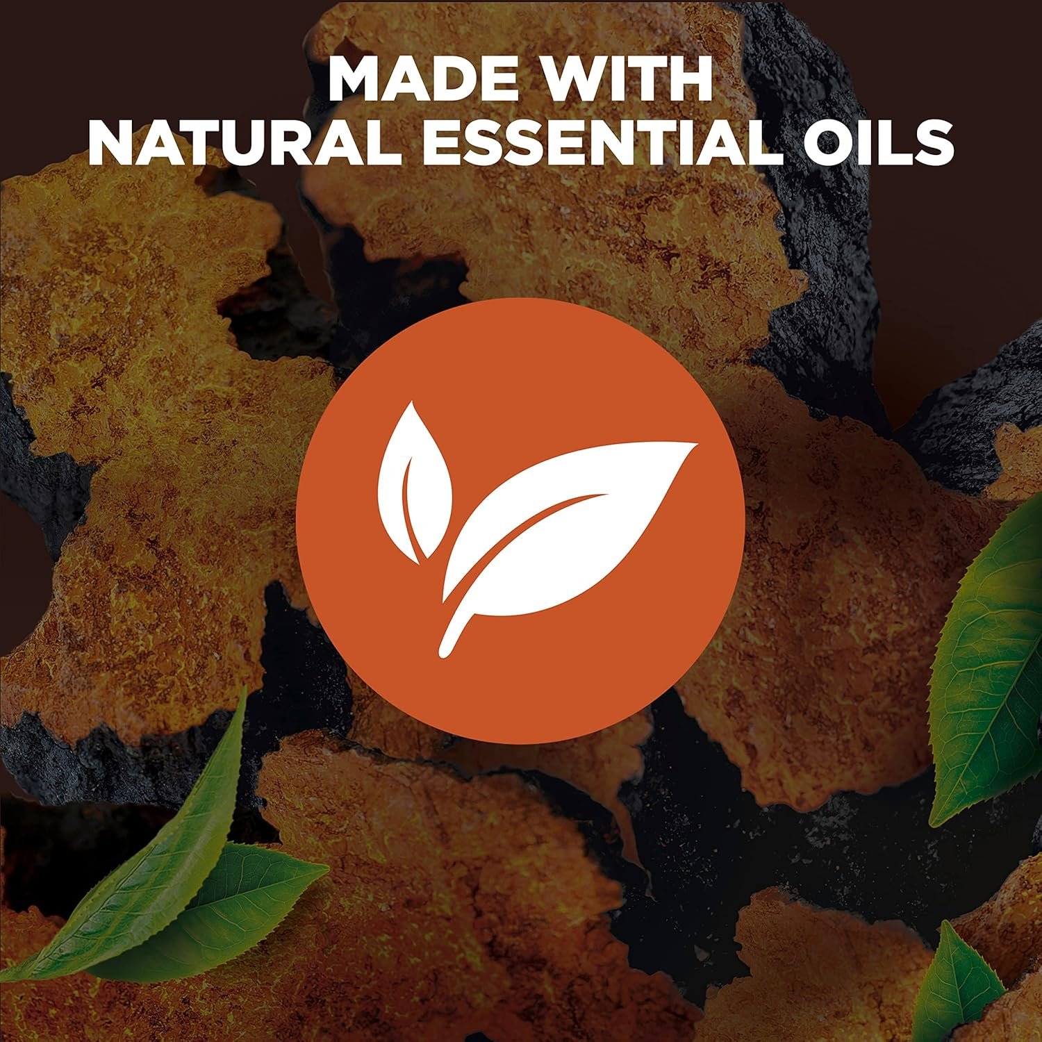 DOVE MEN + CARE Rebalance Body Wash Tea Leaves and Chaga 4 Count With Vitamin and Mineral Complex Moisturizing Body Wash with Plant Based Ingredients 18 oz - Image 5