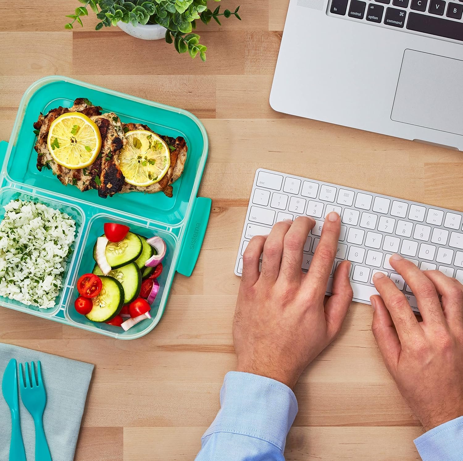 Sistema Nest It Meal Prep Food Storage Containers, 3 Compartments, 8 Cups, BPA-Free, 5-Pack - Image 8